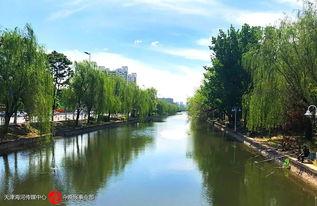 杨柳青的资料,千年古镇的繁华与变迁