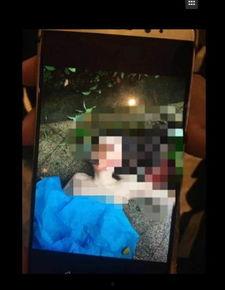 任娇被资料,从平凡走向辉煌的励志传奇